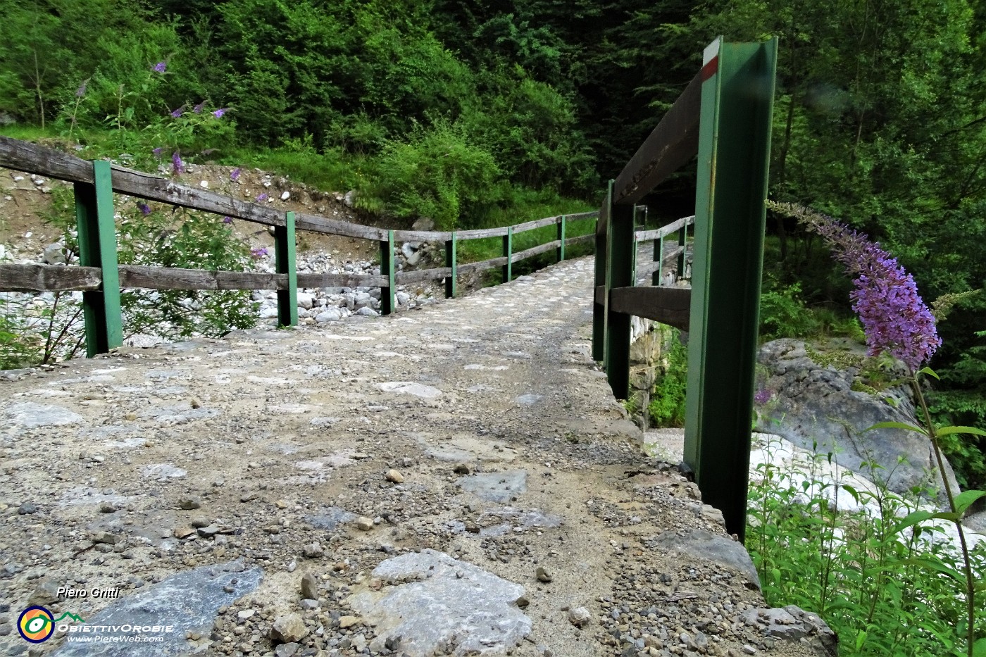 80 Ponte sulla Valle del Pegherolo.JPG